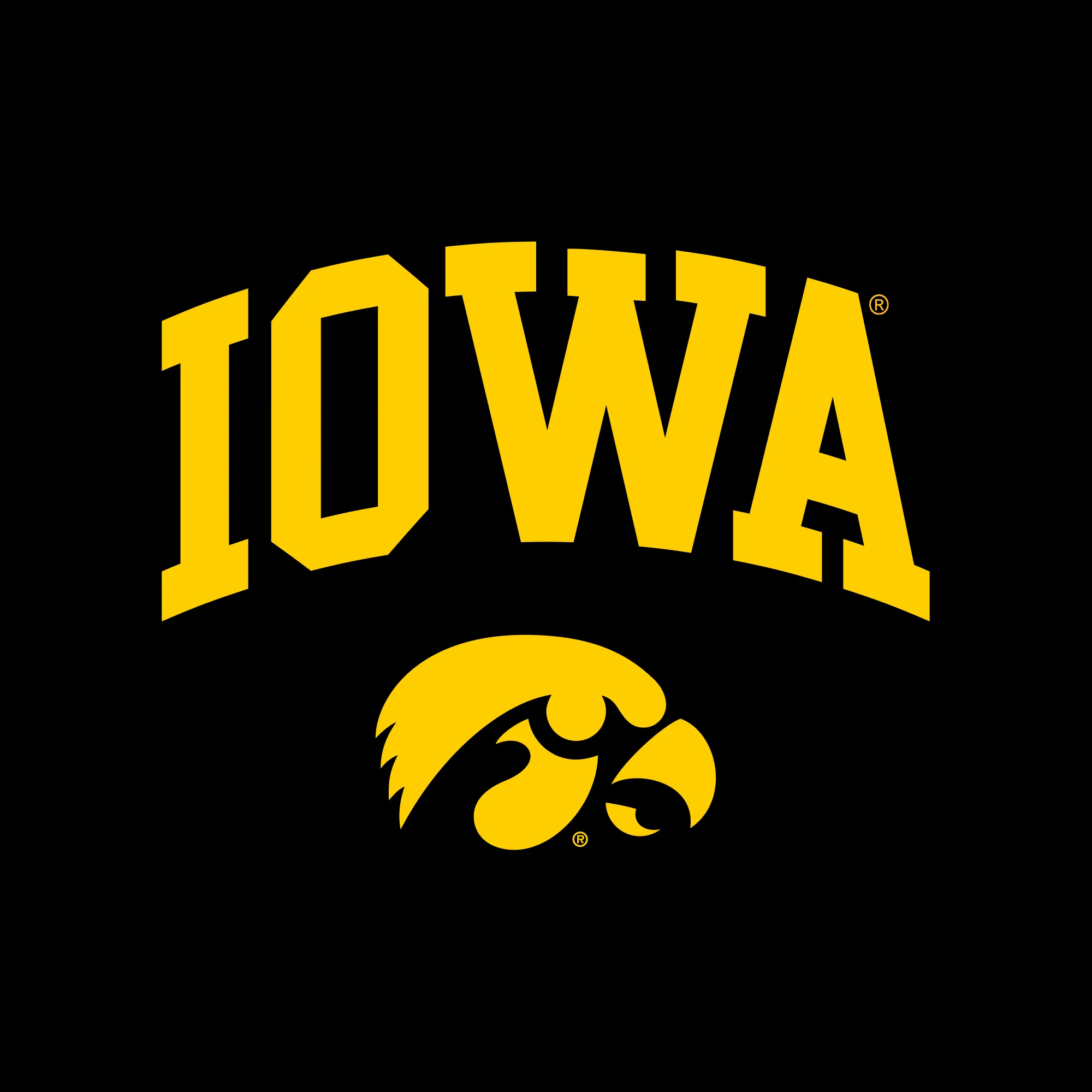 University of Iowa Hawkeyes Arch Logo Heavy Blend Hoodie - Black - Image 2