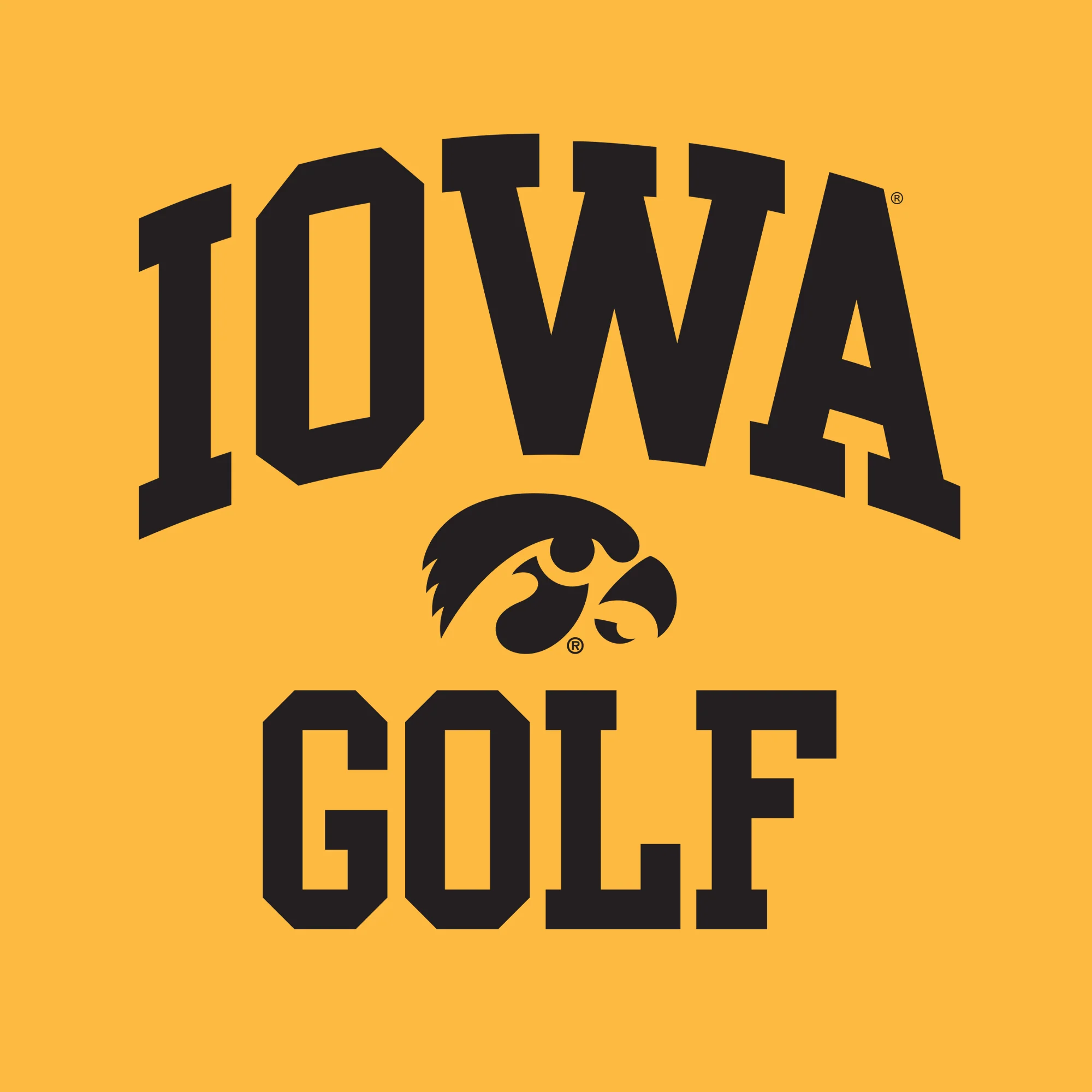 University of Iowa Hawkeyes Arch Logo Golf Hoodie- Gold - Image 2