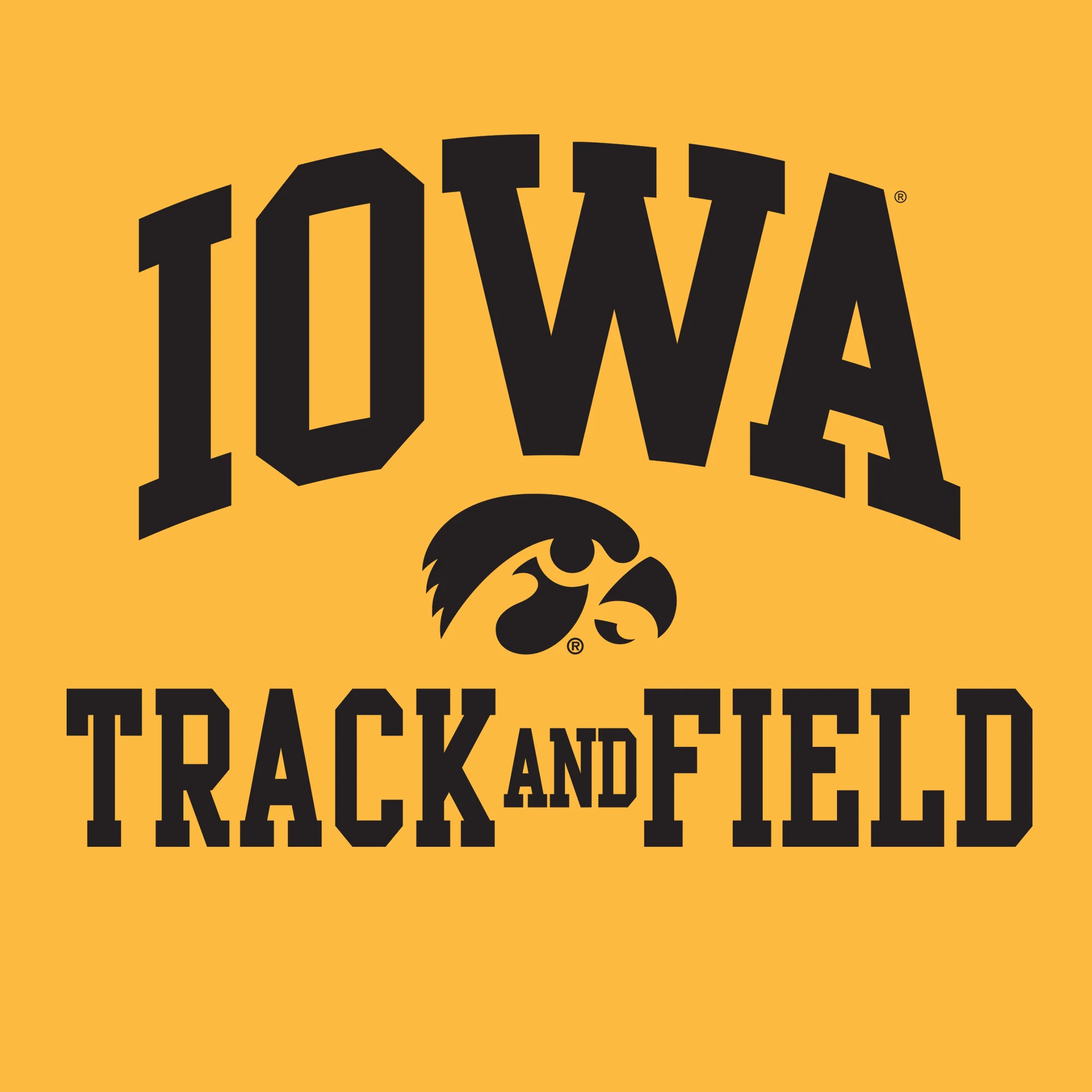 University of Iowa Hawkeyes Arch Logo Track and Field Long Sleeve T Shirt- Gold - Image 2