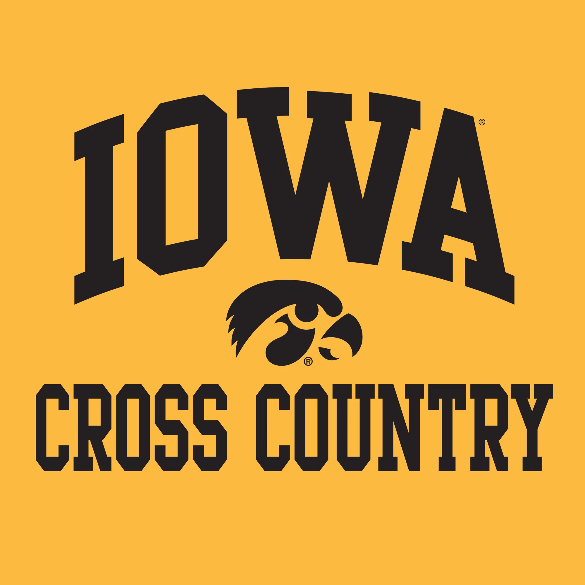 University of Iowa Hawkeyes Arch Logo Volleyball Hoodie - Gold - Image 2