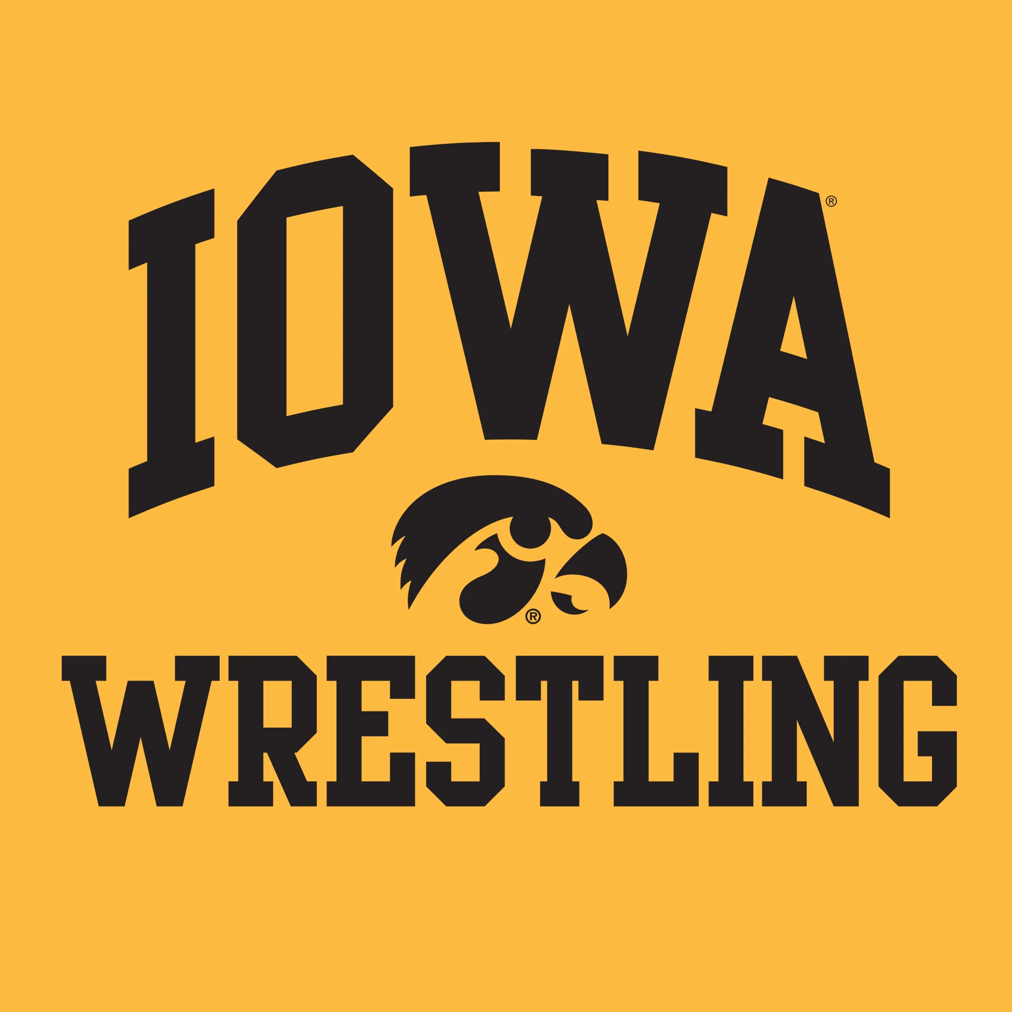 University of Iowa Hawkeyes Arch Logo Wrestling Hoodie - Gold - Image 2