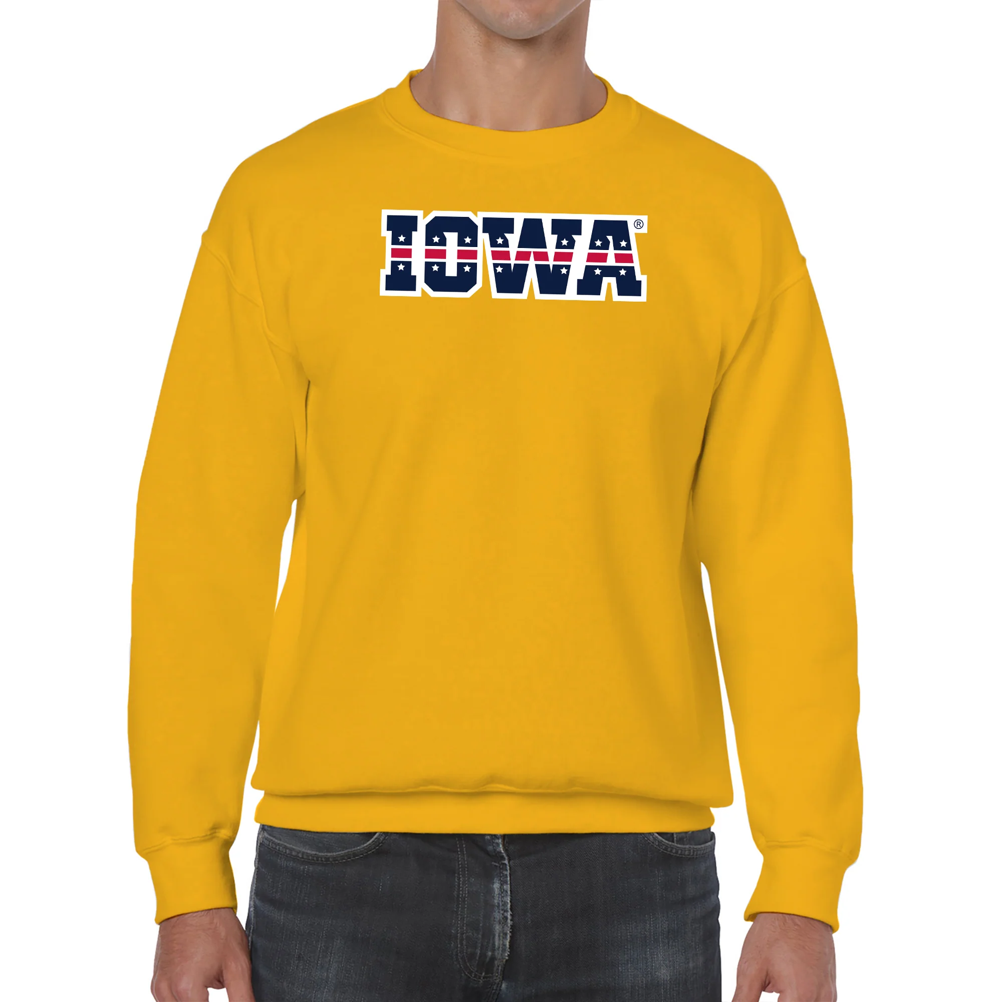 University of Iowa Hawkeyes Patriotic Wordmark, Team Color Crewneck - Image 3