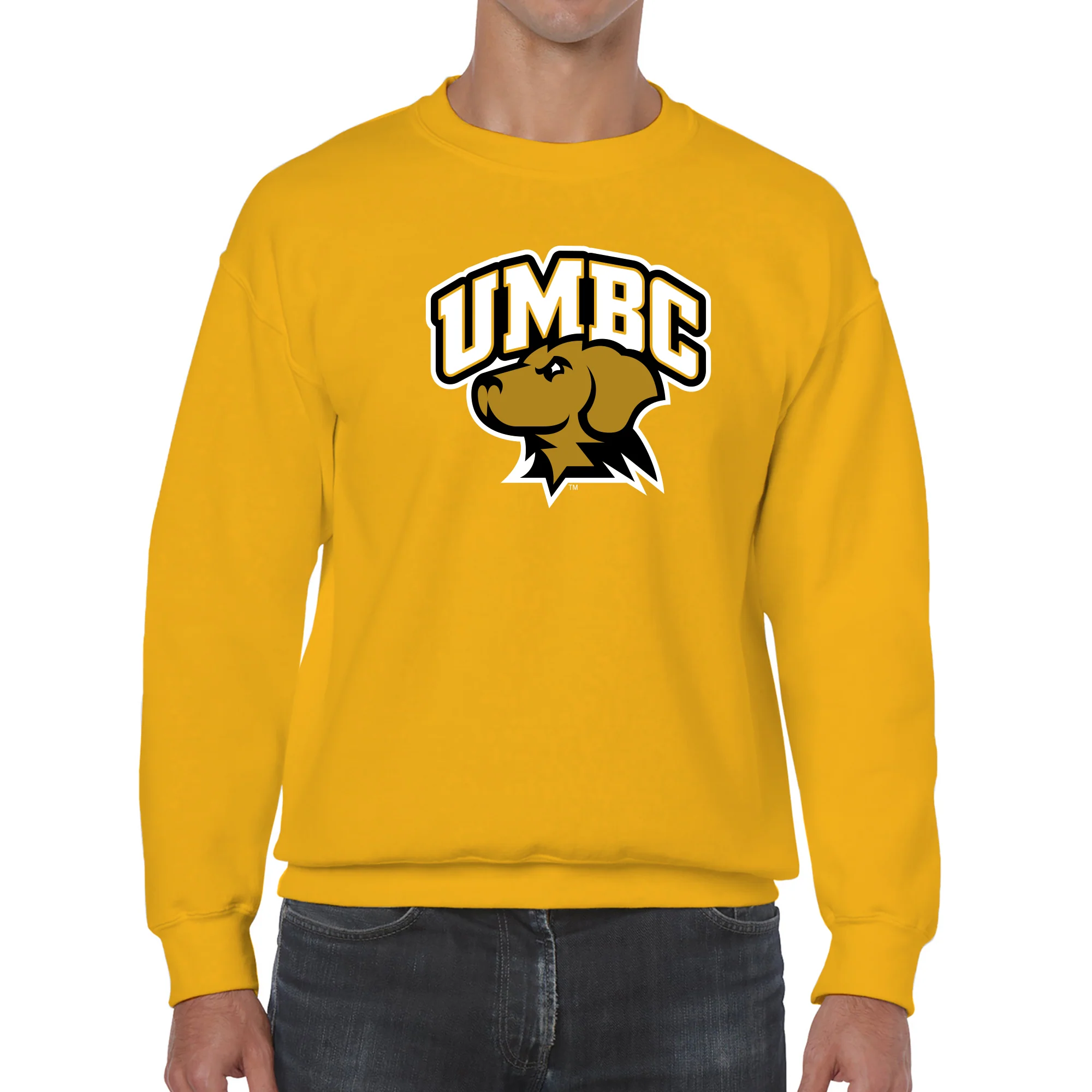 University of Maryland Baltimore County Retrievers Arch Logo Crewneck Sweatshirt - Gold - Image 3