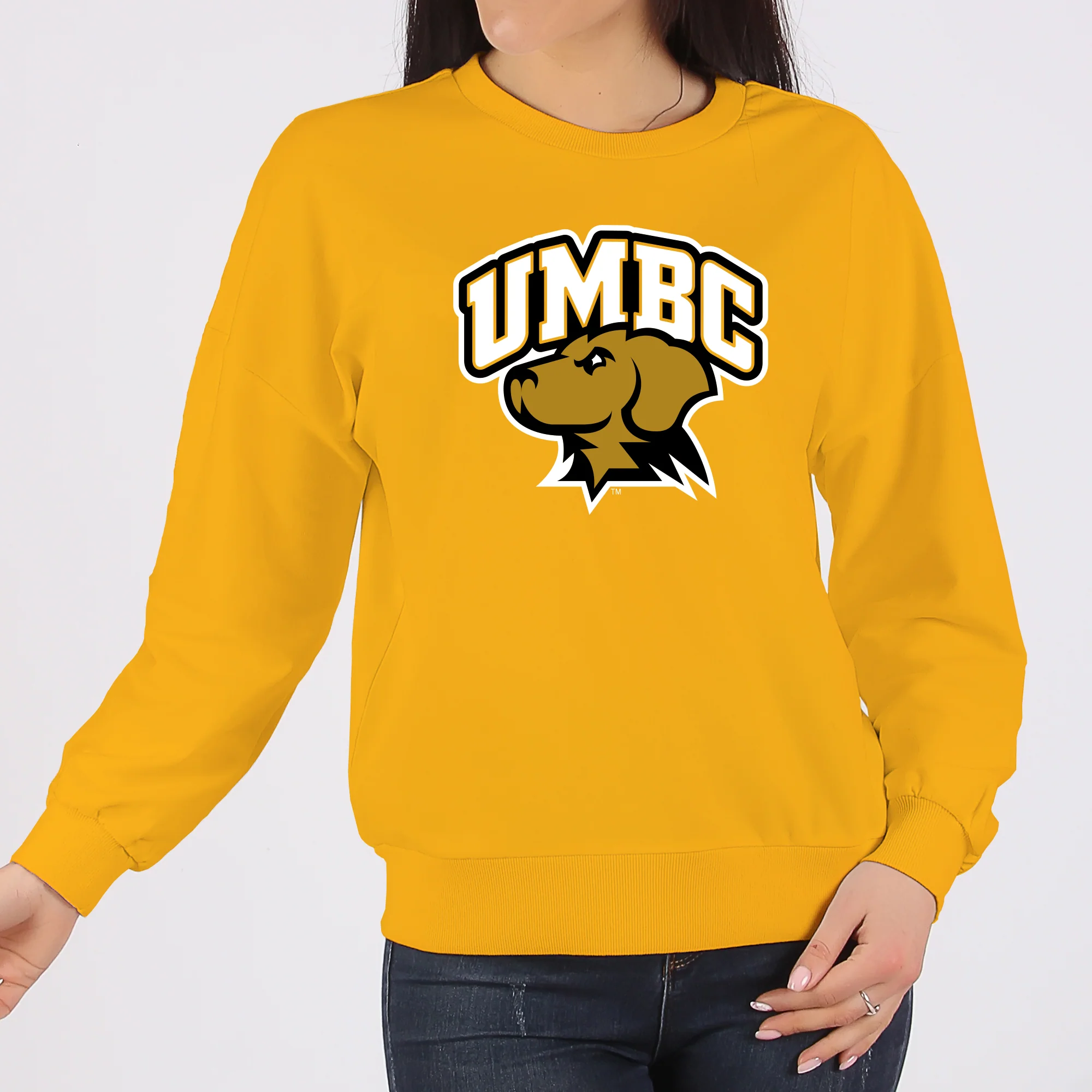 University of Maryland Baltimore County Retrievers Arch Logo Crewneck Sweatshirt - Gold - Image 4