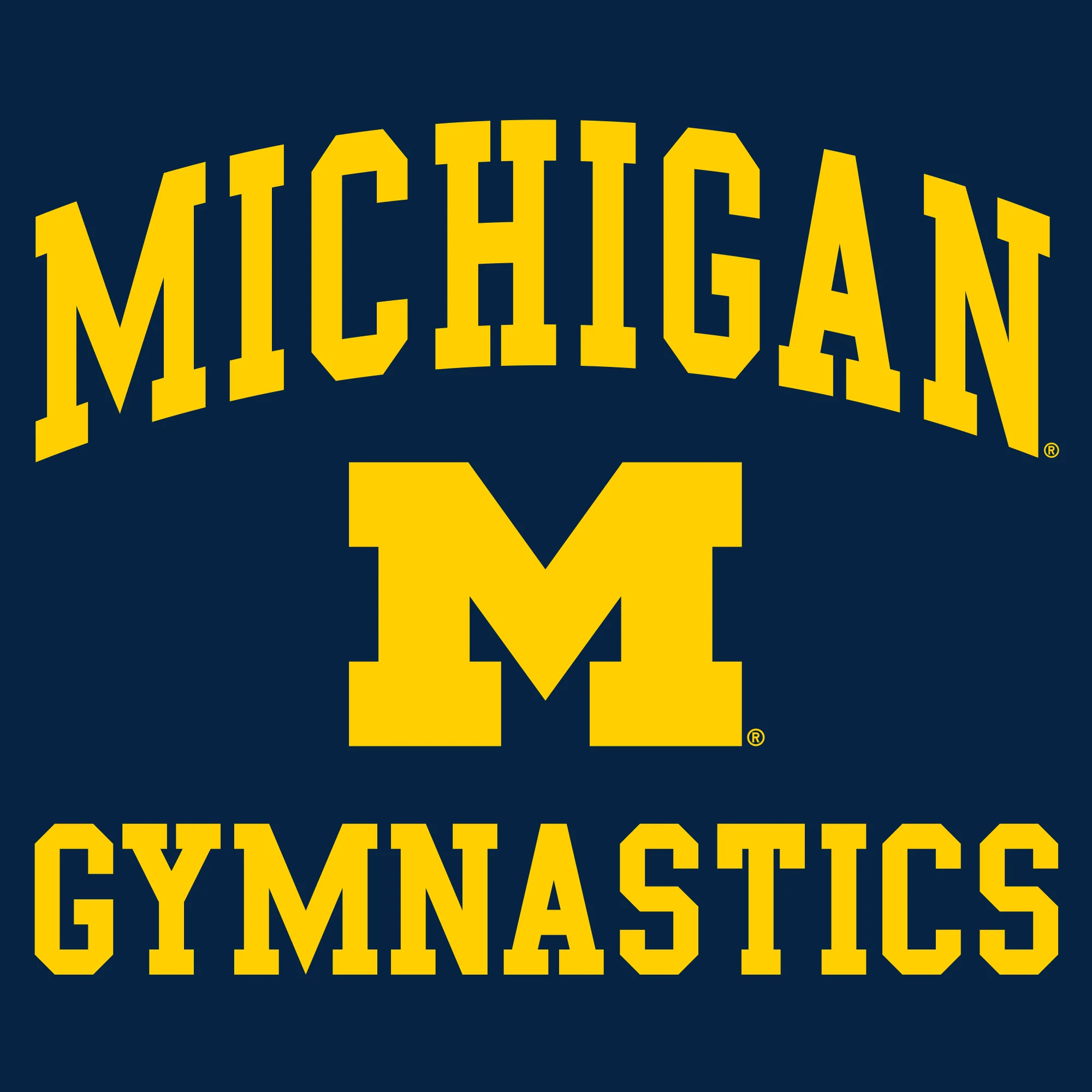 University of Michigan Wolverines Arch Logo Gymnastics Hoodie - Navy - Image 2