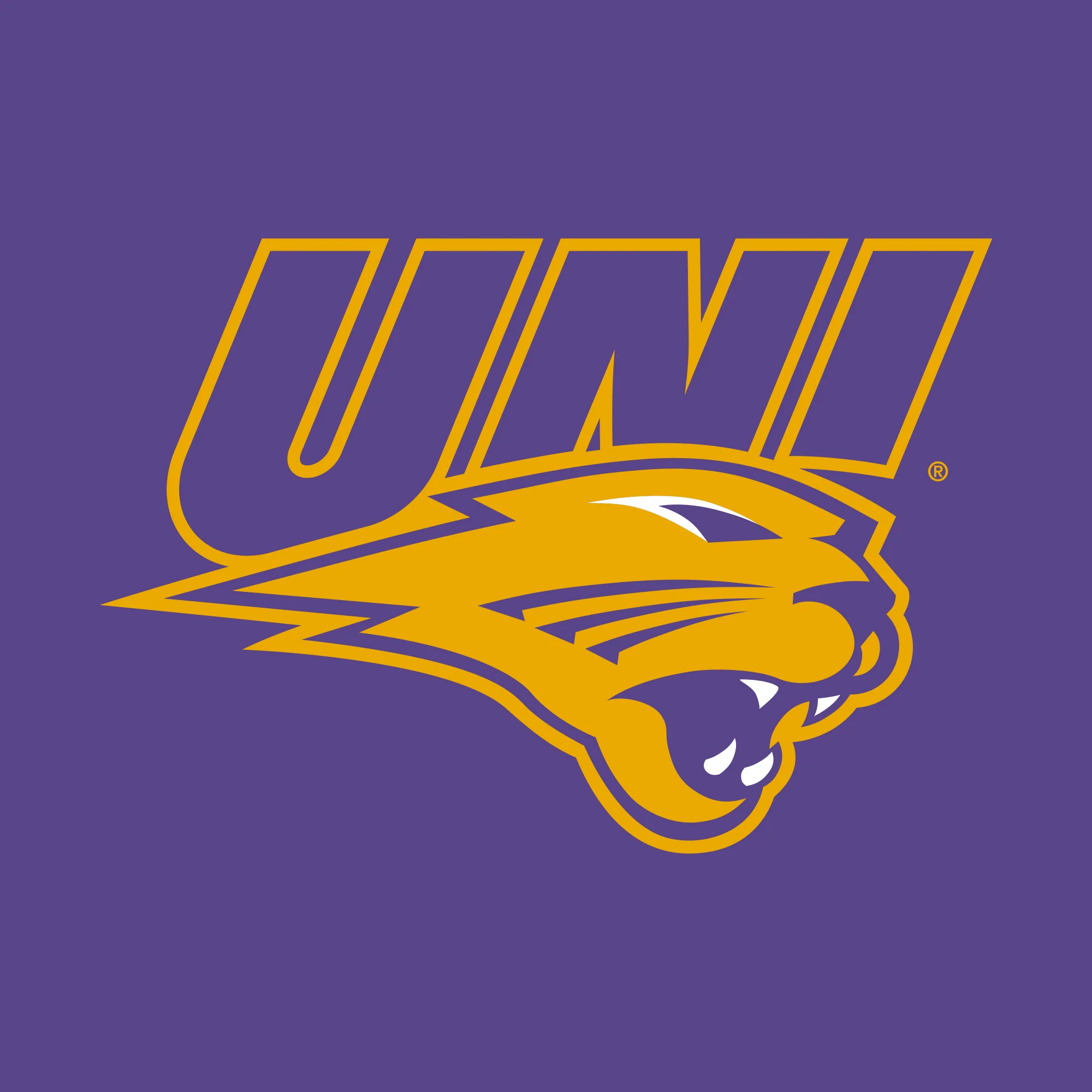University of Northern Iowa Panthers Primary Logo Youth T Shirt - Purple - Image 2