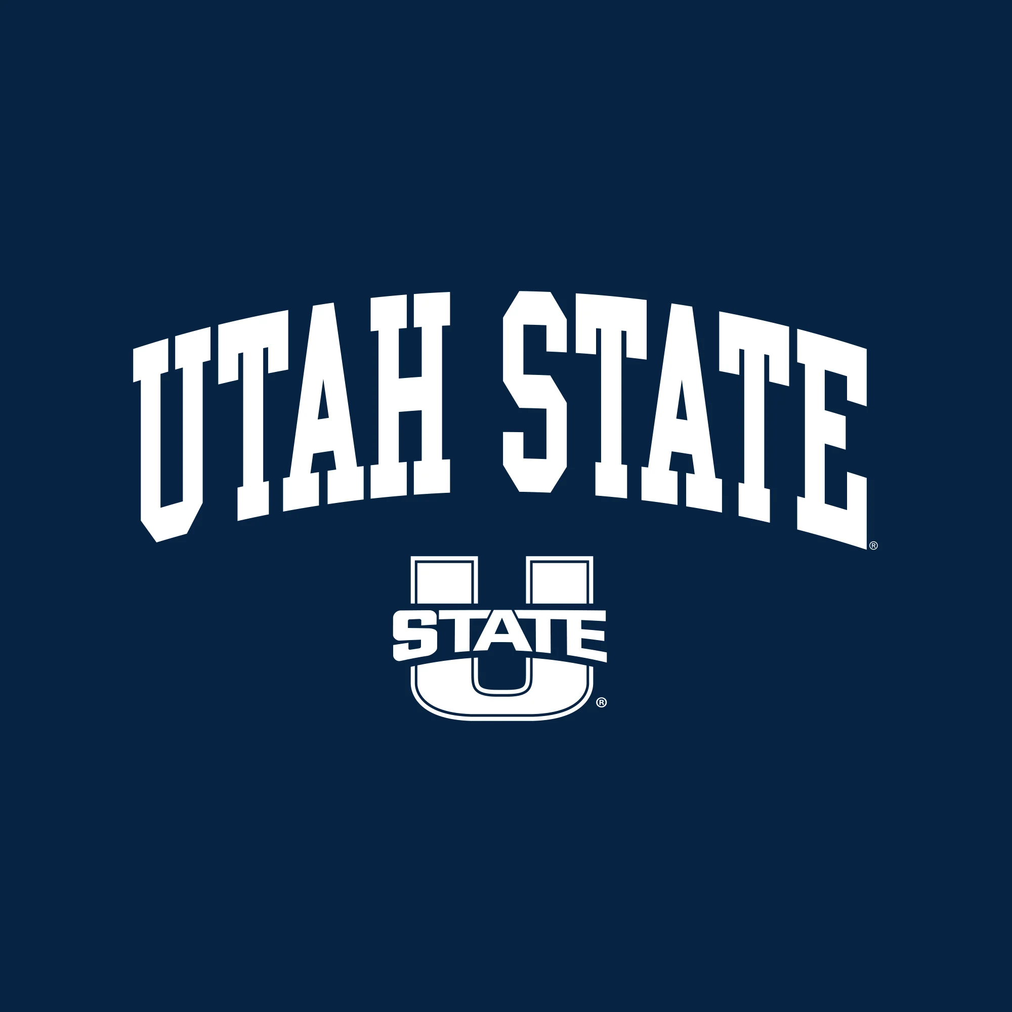 Utah State Aggies Arch Logo Crewneck - Image 3