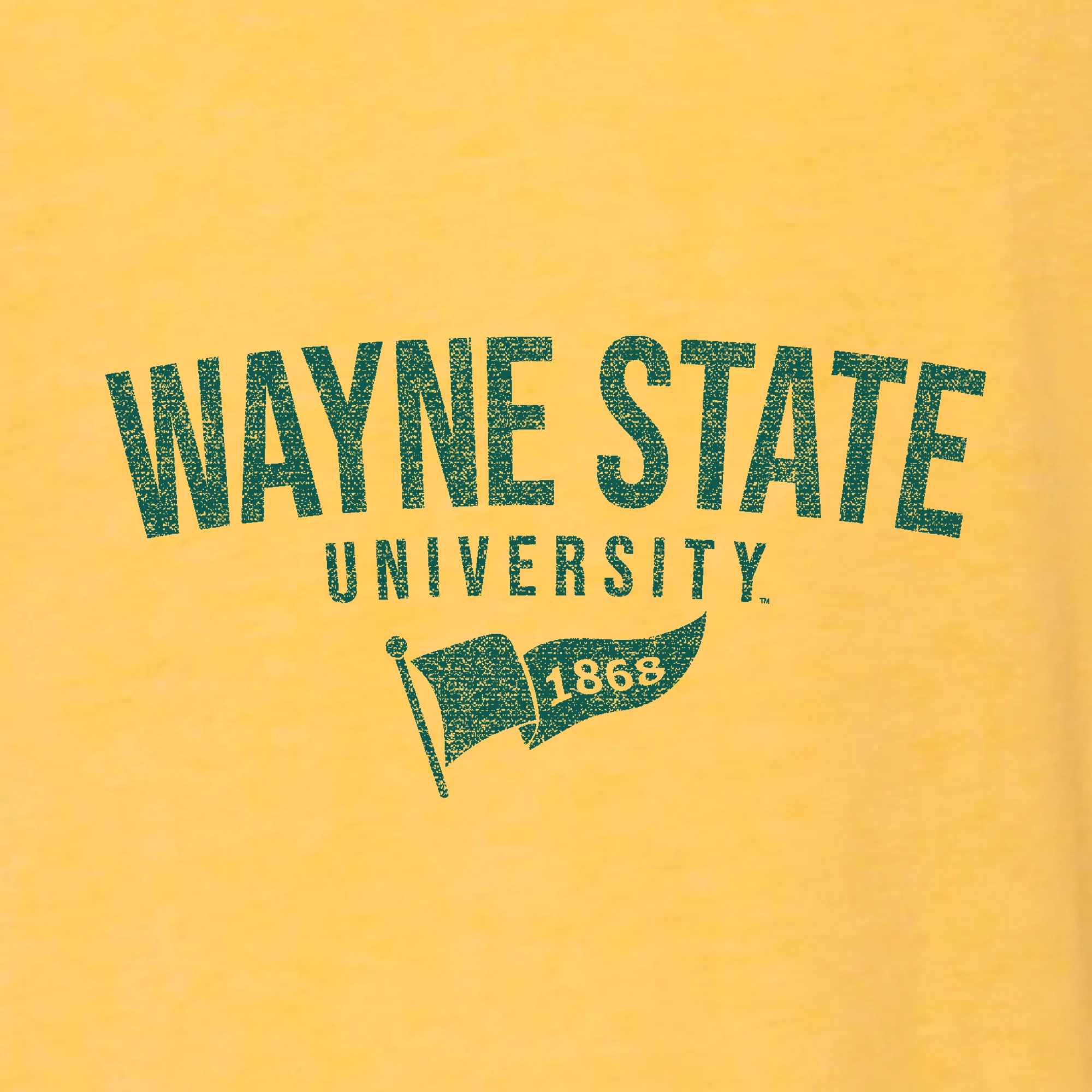 Wayne State Distressed Year Banner Canvas Triblend T-Shirt - Yellow Gold - Image 2