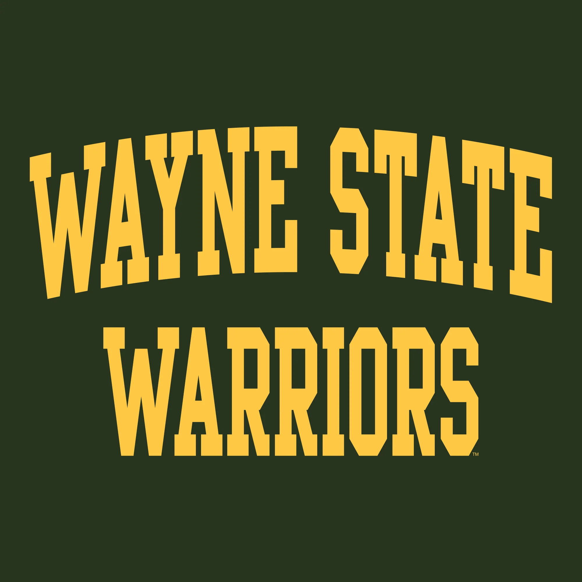 Wayne State University Warriors Front Back Print Heavy Blend Hoodie - Forest - Image 2