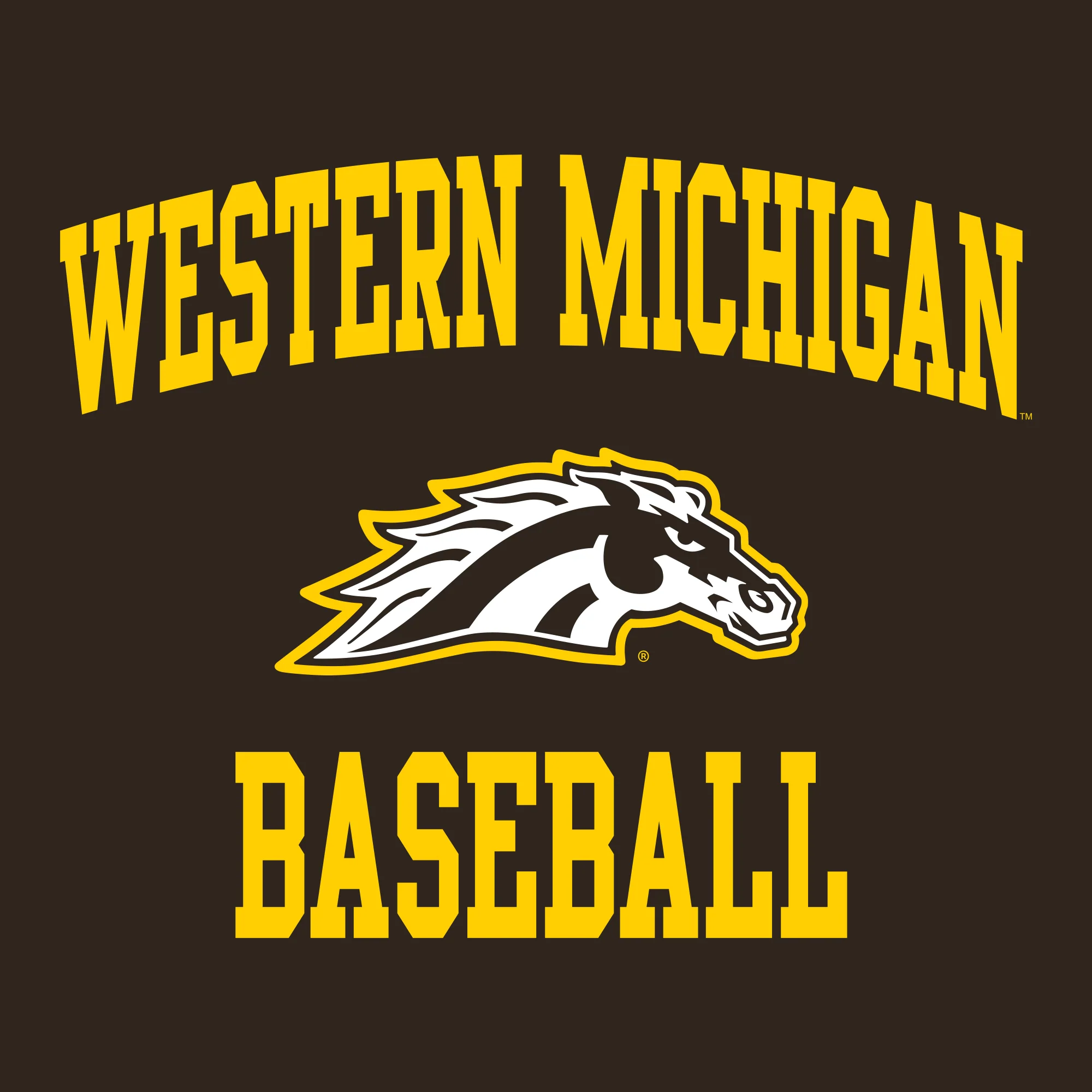 Western Michigan Arch Logo Baseball Hoodie - Dark Chocolate - Image 2