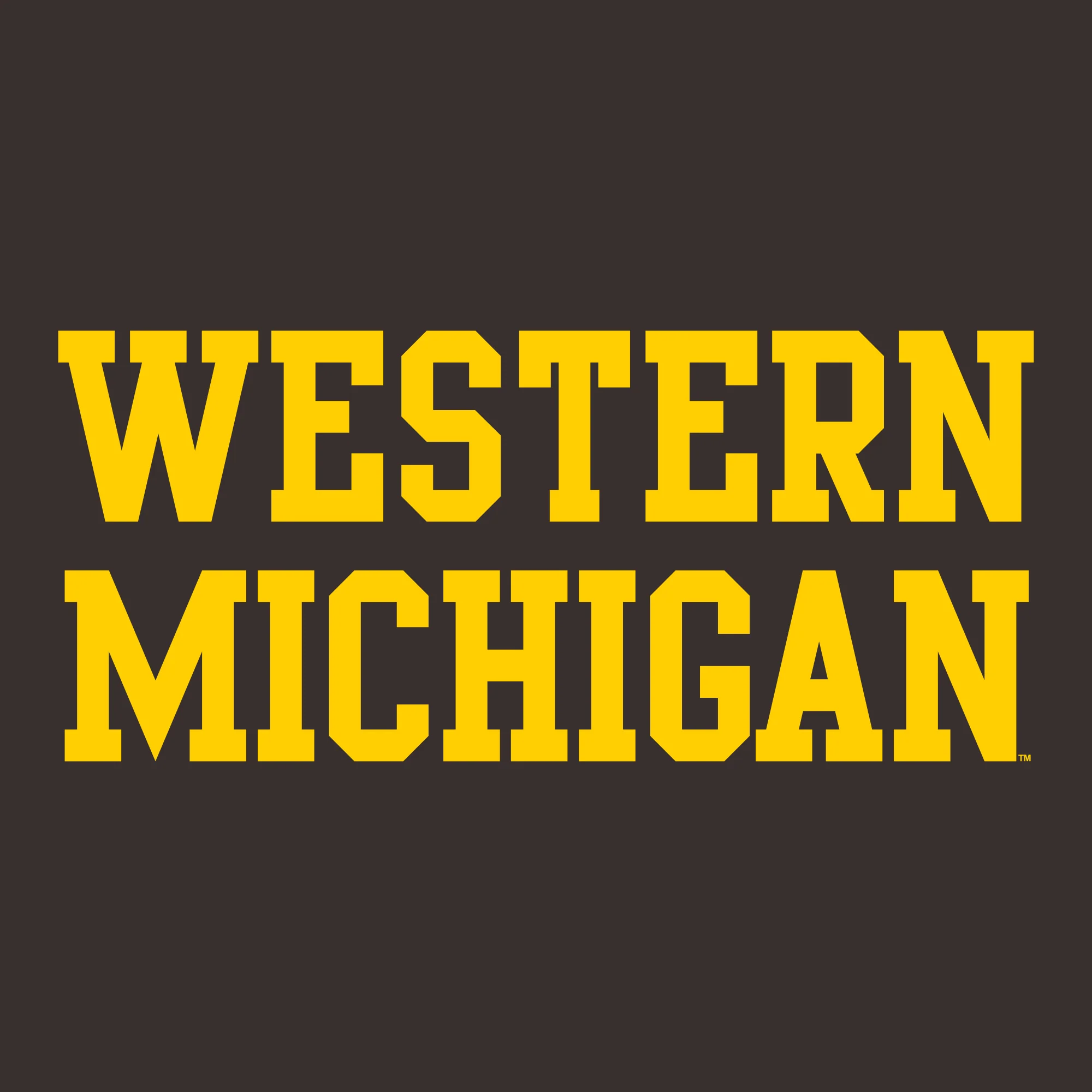 Western Michigan Basic Tee - Dk. Chocolate - Image 2
