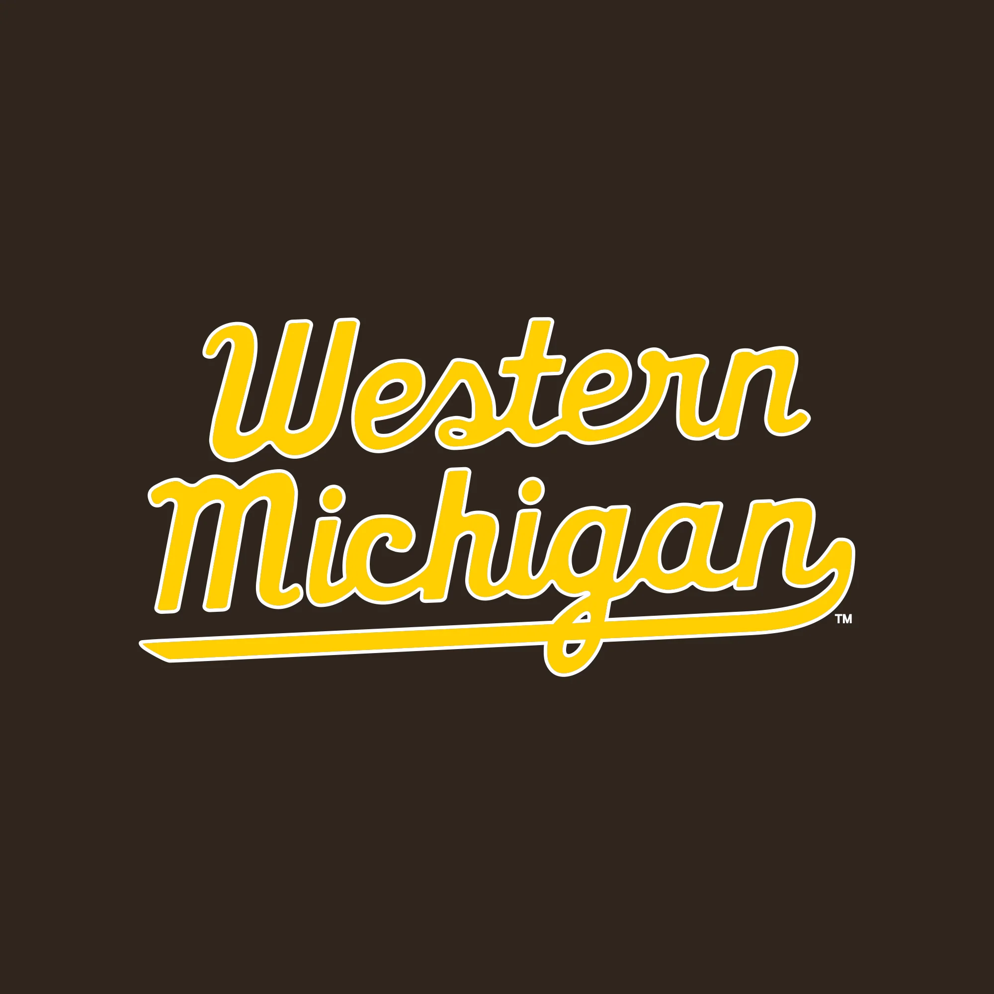 Western Michigan Script Wordmark Hoodie - Dark Chocolate - Image 2