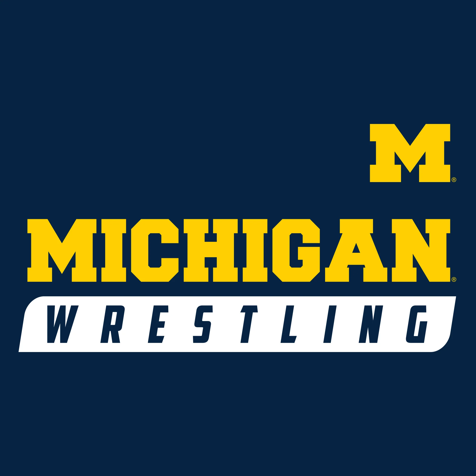Wrestling Slant University of Michigan Heavy Blend Hoodie - Navy - Image 2