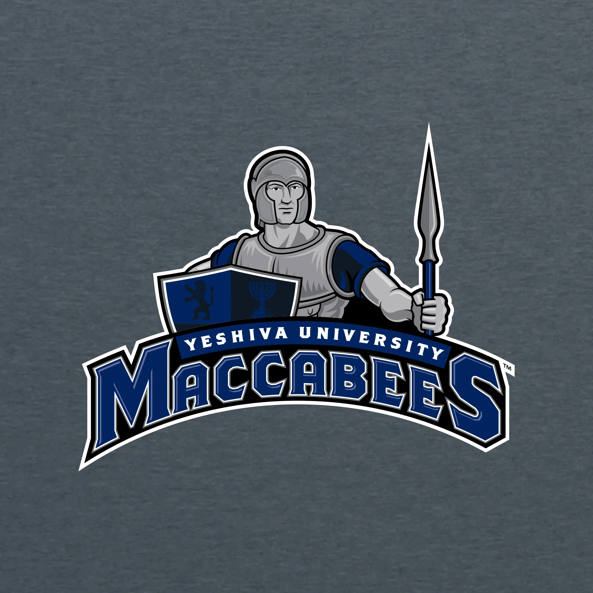 Yeshiva University Arch Logo Hoodie - Image 6
