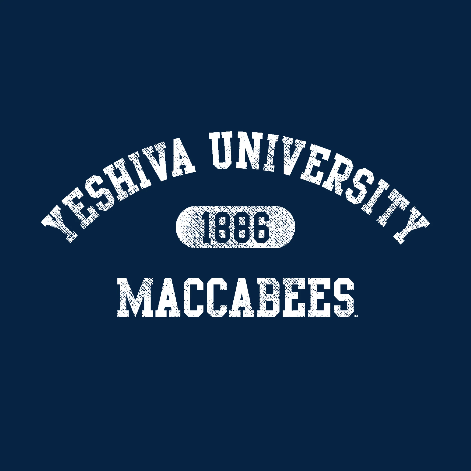 Yeshiva University Athletic Arch Hoodie - Navy - Image 2