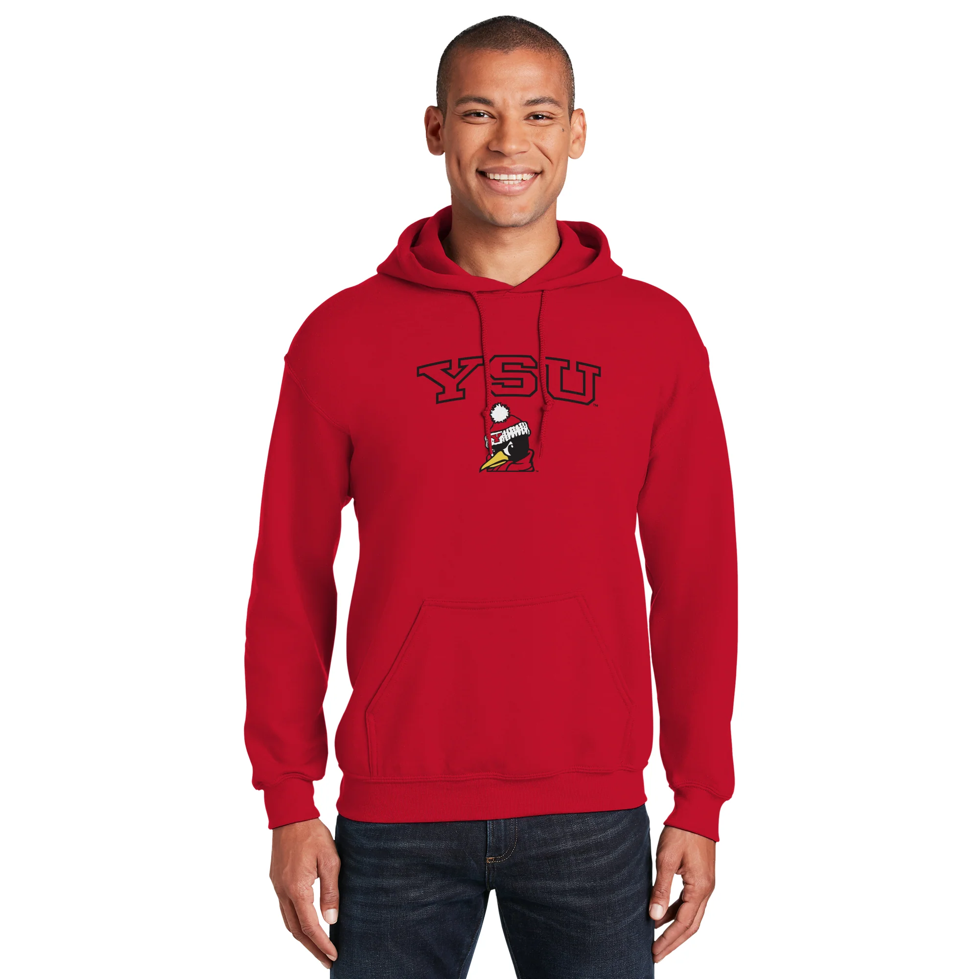Youngstown Penguins Arch Logo Hoodie - Image 4