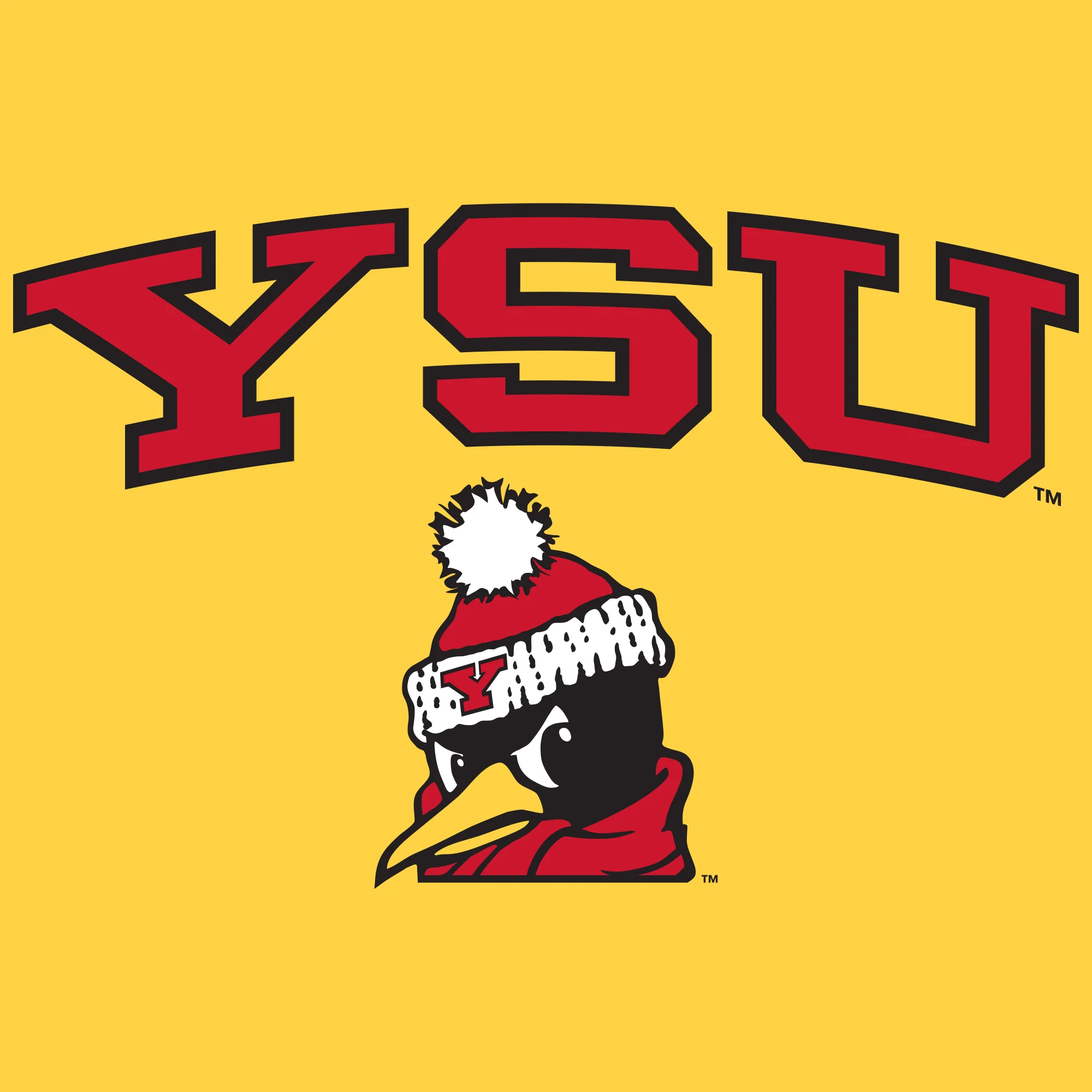 Youngstown Penguins Arch Logo T-Shirt - Image 3