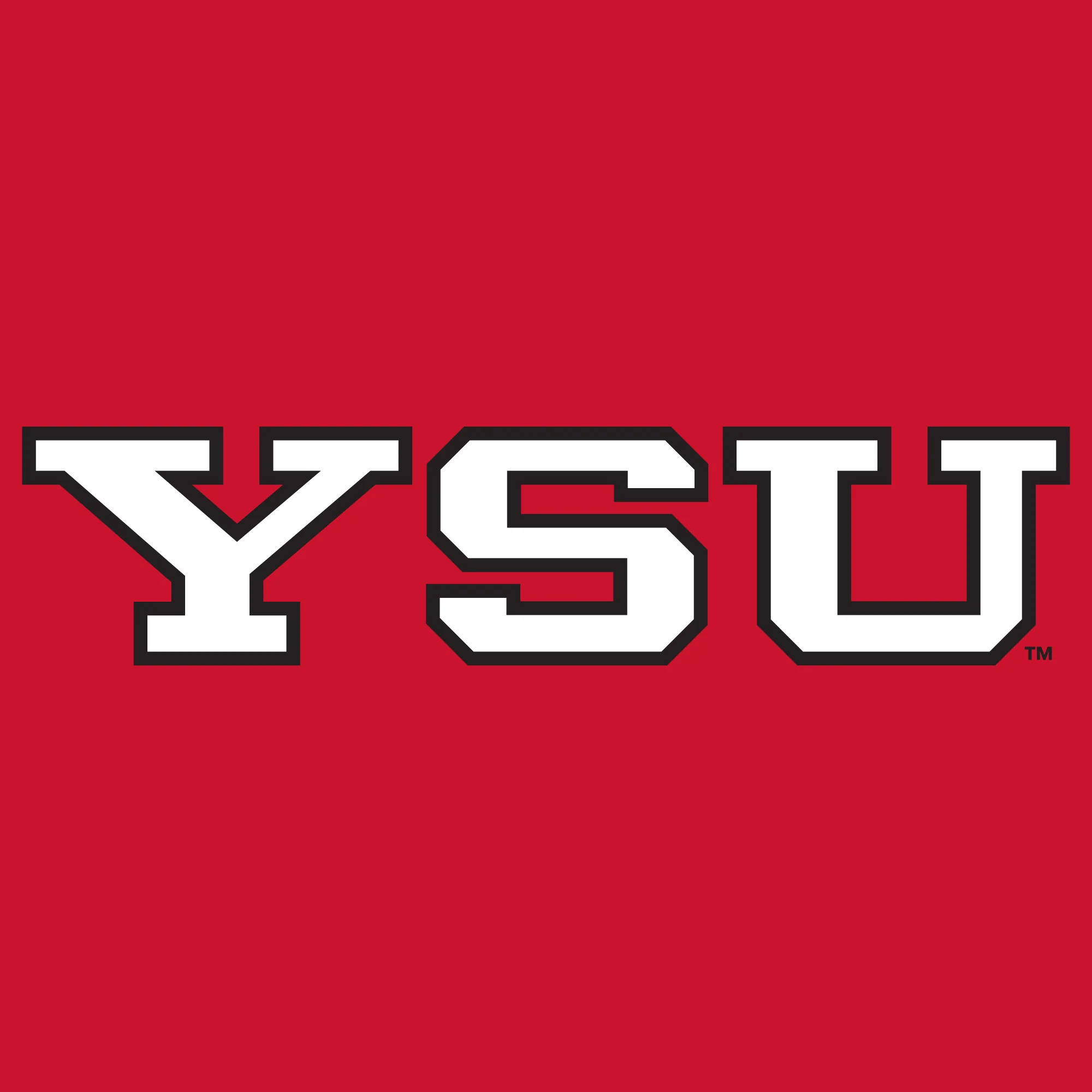 Youngstown Penguins Basic Block T-Shirt - Red - Image 2