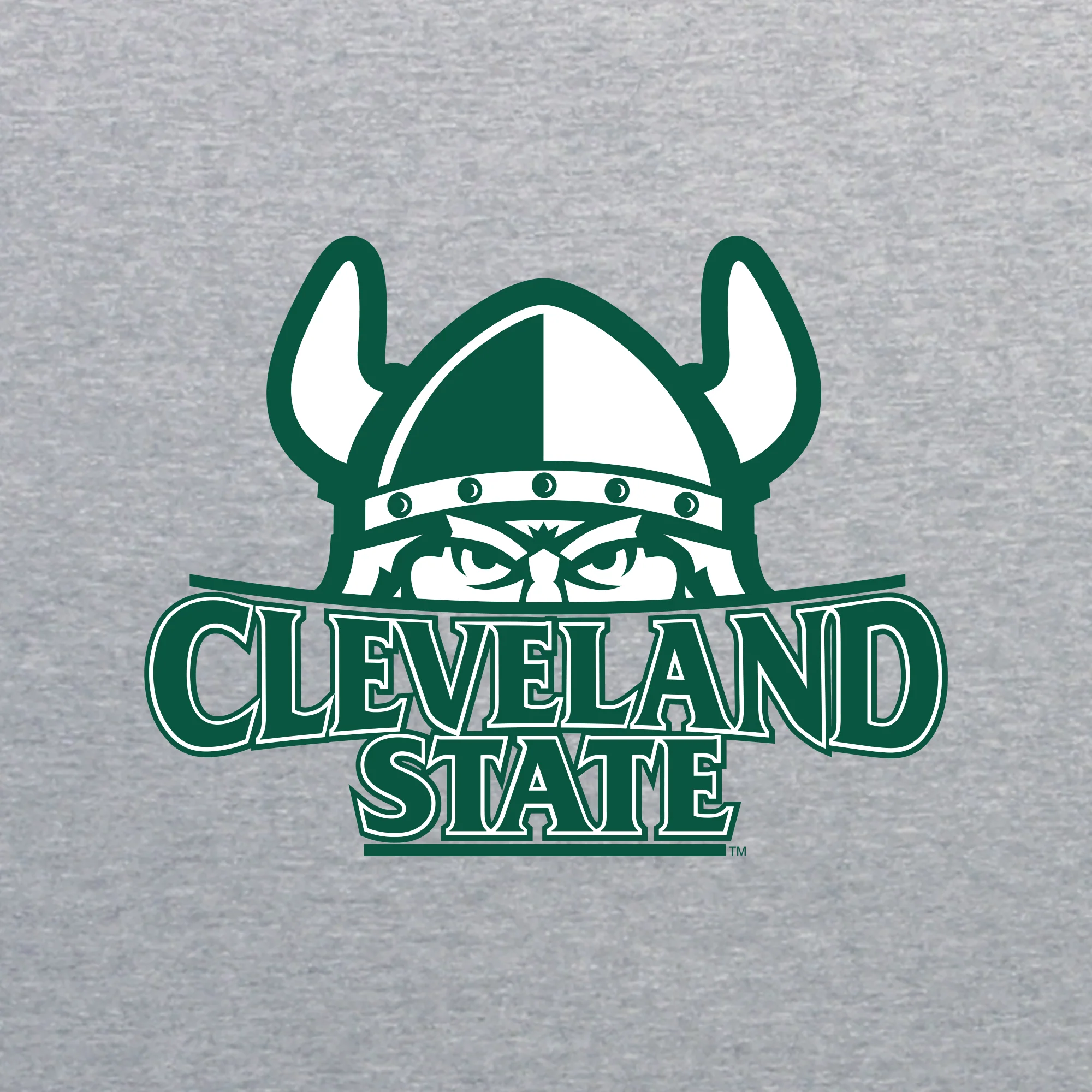 Cleveland State Vikings Primary Logo Youth T Shirt - Sport Grey - Image 2